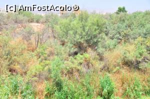 [P06] printre balarii se zareste in zare biserica » foto by alunelu69
 - 
<span class="allrVoted glyphicon glyphicon-heart hidden" id="av958191"></span>
<a class="m-l-10 hidden" id="sv958191" onclick="voting_Foto_DelVot(,958191,23631)" role="button">șterge vot <span class="glyphicon glyphicon-remove"></span></a>
<a id="v9958191" class=" c-red"  onclick="voting_Foto_SetVot(958191)" role="button"><span class="glyphicon glyphicon-heart-empty"></span> <b>LIKE</b> = Votează poza</a> <img class="hidden"  id="f958191W9" src="/imagini/loader.gif" border="0" /><span class="AjErrMes hidden" id="e958191ErM"></span>