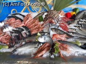 [P36] Fructe de mare proaspete. Ls sfârșitul zilei, ce nu se consuma, se arunca in mare.  » foto by bica adriana
 - 
<span class="allrVoted glyphicon glyphicon-heart hidden" id="av1131251"></span>
<a class="m-l-10 hidden" id="sv1131251" onclick="voting_Foto_DelVot(,1131251,23643)" role="button">șterge vot <span class="glyphicon glyphicon-remove"></span></a>
<a id="v91131251" class=" c-red"  onclick="voting_Foto_SetVot(1131251)" role="button"><span class="glyphicon glyphicon-heart-empty"></span> <b>LIKE</b> = Votează poza</a> <img class="hidden"  id="f1131251W9" src="/imagini/loader.gif" border="0" /><span class="AjErrMes hidden" id="e1131251ErM"></span>