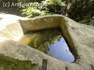 [P17] Fântâna » foto by Yersinia Pestis
 - 
<span class="allrVoted glyphicon glyphicon-heart hidden" id="av1531554"></span>
<a class="m-l-10 hidden" id="sv1531554" onclick="voting_Foto_DelVot(,1531554,23690)" role="button">șterge vot <span class="glyphicon glyphicon-remove"></span></a>
<a id="v91531554" class=" c-red"  onclick="voting_Foto_SetVot(1531554)" role="button"><span class="glyphicon glyphicon-heart-empty"></span> <b>LIKE</b> = Votează poza</a> <img class="hidden"  id="f1531554W9" src="/imagini/loader.gif" border="0" /><span class="AjErrMes hidden" id="e1531554ErM"></span>