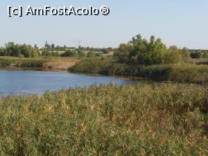 [P31] Parcul Natural Văcărești - Delta dintre blocuri.  » foto by iulianic
 - 
<span class="allrVoted glyphicon glyphicon-heart hidden" id="av1103740"></span>
<a class="m-l-10 hidden" id="sv1103740" onclick="voting_Foto_DelVot(,1103740,23697)" role="button">șterge vot <span class="glyphicon glyphicon-remove"></span></a>
<a id="v91103740" class=" c-red"  onclick="voting_Foto_SetVot(1103740)" role="button"><span class="glyphicon glyphicon-heart-empty"></span> <b>LIKE</b> = Votează poza</a> <img class="hidden"  id="f1103740W9" src="/imagini/loader.gif" border="0" /><span class="AjErrMes hidden" id="e1103740ErM"></span>
