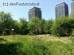 [P04] Parcul Natural Văcărești - undeva la etajul 17 din aceste turnuri este „Observatorul” PNV (acces liber, cu programare L-V 10 - 17)  » foto by Dragoș_MD
 - 
<span class="allrVoted glyphicon glyphicon-heart hidden" id="av963921"></span>
<a class="m-l-10 hidden" id="sv963921" onclick="voting_Foto_DelVot(,963921,23697)" role="button">șterge vot <span class="glyphicon glyphicon-remove"></span></a>
<a id="v9963921" class=" c-red"  onclick="voting_Foto_SetVot(963921)" role="button"><span class="glyphicon glyphicon-heart-empty"></span> <b>LIKE</b> = Votează poza</a> <img class="hidden"  id="f963921W9" src="/imagini/loader.gif" border="0" /><span class="AjErrMes hidden" id="e963921ErM"></span>