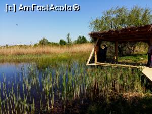 [P07] Parcul Natural Văcărești - la pândă după păsări » foto by Dragoș_MD
 - 
<span class="allrVoted glyphicon glyphicon-heart hidden" id="av963924"></span>
<a class="m-l-10 hidden" id="sv963924" onclick="voting_Foto_DelVot(,963924,23697)" role="button">șterge vot <span class="glyphicon glyphicon-remove"></span></a>
<a id="v9963924" class=" c-red"  onclick="voting_Foto_SetVot(963924)" role="button"><span class="glyphicon glyphicon-heart-empty"></span> <b>LIKE</b> = Votează poza</a> <img class="hidden"  id="f963924W9" src="/imagini/loader.gif" border="0" /><span class="AjErrMes hidden" id="e963924ErM"></span>