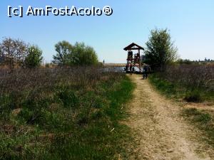 [P09] Parcul Natural Văcărești - foișorul de observare a vieții sălbatice » foto by Dragoș_MD
 - 
<span class="allrVoted glyphicon glyphicon-heart hidden" id="av963926"></span>
<a class="m-l-10 hidden" id="sv963926" onclick="voting_Foto_DelVot(,963926,23697)" role="button">șterge vot <span class="glyphicon glyphicon-remove"></span></a>
<a id="v9963926" class=" c-red"  onclick="voting_Foto_SetVot(963926)" role="button"><span class="glyphicon glyphicon-heart-empty"></span> <b>LIKE</b> = Votează poza</a> <img class="hidden"  id="f963926W9" src="/imagini/loader.gif" border="0" /><span class="AjErrMes hidden" id="e963926ErM"></span>