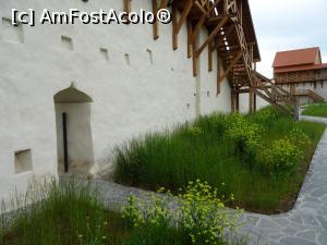 [P17] Ieșire nordică spre ruinele teutonice - Cetatea Feldioara.  » foto by tata123 🔱
 - 
<span class="allrVoted glyphicon glyphicon-heart hidden" id="av966640"></span>
<a class="m-l-10 hidden" id="sv966640" onclick="voting_Foto_DelVot(,966640,23732)" role="button">șterge vot <span class="glyphicon glyphicon-remove"></span></a>
<a id="v9966640" class=" c-red"  onclick="voting_Foto_SetVot(966640)" role="button"><span class="glyphicon glyphicon-heart-empty"></span> <b>LIKE</b> = Votează poza</a> <img class="hidden"  id="f966640W9" src="/imagini/loader.gif" border="0" /><span class="AjErrMes hidden" id="e966640ErM"></span>