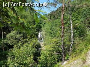 [P15] Rezervația Naturală ”Buciaș” - printre ramurile copacilor de pe marginea drumului se zărește Cascada Buciaș. » foto by Floryn81
 - 
<span class="allrVoted glyphicon glyphicon-heart hidden" id="av1091865"></span>
<a class="m-l-10 hidden" id="sv1091865" onclick="voting_Foto_DelVot(,1091865,23775)" role="button">șterge vot <span class="glyphicon glyphicon-remove"></span></a>
<a id="v91091865" class=" c-red"  onclick="voting_Foto_SetVot(1091865)" role="button"><span class="glyphicon glyphicon-heart-empty"></span> <b>LIKE</b> = Votează poza</a> <img class="hidden"  id="f1091865W9" src="/imagini/loader.gif" border="0" /><span class="AjErrMes hidden" id="e1091865ErM"></span>