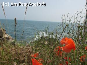 [P54]  -- <small>// FĂRĂ DESCRIERE</small> » foto by Testosu'
 - 
<span class="allrVoted glyphicon glyphicon-heart hidden" id="av752857"></span>
<a class="m-l-10 hidden" id="sv752857" onclick="voting_Foto_DelVot(,752857,23794)" role="button">șterge vot <span class="glyphicon glyphicon-remove"></span></a>
<a id="v9752857" class=" c-red"  onclick="voting_Foto_SetVot(752857)" role="button"><span class="glyphicon glyphicon-heart-empty"></span> <b>LIKE</b> = Votează poza</a> <img class="hidden"  id="f752857W9" src="/imagini/loader.gif" border="0" /><span class="AjErrMes hidden" id="e752857ErM"></span>