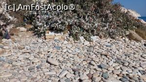 [P37] Stânca Afroditei - tufișurile cu bilețele cu dorințe și pietrele cu numele vizitatorilor » foto by Carmen Ion
 - 
<span class="allrVoted glyphicon glyphicon-heart hidden" id="av1477610"></span>
<a class="m-l-10 hidden" id="sv1477610" onclick="voting_Foto_DelVot(,1477610,23804)" role="button">șterge vot <span class="glyphicon glyphicon-remove"></span></a>
<a id="v91477610" class=" c-red"  onclick="voting_Foto_SetVot(1477610)" role="button"><span class="glyphicon glyphicon-heart-empty"></span> <b>LIKE</b> = Votează poza</a> <img class="hidden"  id="f1477610W9" src="/imagini/loader.gif" border="0" /><span class="AjErrMes hidden" id="e1477610ErM"></span>