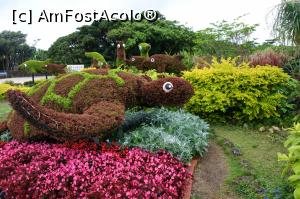 [P05] La intrarea în Ocean Expo Park » foto by Tesaria
 - 
<span class="allrVoted glyphicon glyphicon-heart hidden" id="av972445"></span>
<a class="m-l-10 hidden" id="sv972445" onclick="voting_Foto_DelVot(,972445,23806)" role="button">șterge vot <span class="glyphicon glyphicon-remove"></span></a>
<a id="v9972445" class=" c-red"  onclick="voting_Foto_SetVot(972445)" role="button"><span class="glyphicon glyphicon-heart-empty"></span> <b>LIKE</b> = Votează poza</a> <img class="hidden"  id="f972445W9" src="/imagini/loader.gif" border="0" /><span class="AjErrMes hidden" id="e972445ErM"></span>