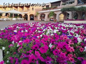 [P03] Porto Cervo » foto by danmarian1977
 - 
<span class="allrVoted glyphicon glyphicon-heart hidden" id="av976808"></span>
<a class="m-l-10 hidden" id="sv976808" onclick="voting_Foto_DelVot(,976808,23849)" role="button">șterge vot <span class="glyphicon glyphicon-remove"></span></a>
<a id="v9976808" class=" c-red"  onclick="voting_Foto_SetVot(976808)" role="button"><span class="glyphicon glyphicon-heart-empty"></span> <b>LIKE</b> = Votează poza</a> <img class="hidden"  id="f976808W9" src="/imagini/loader.gif" border="0" /><span class="AjErrMes hidden" id="e976808ErM"></span>