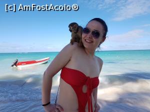 [P03] poza cu maimuta-10 usd » foto by bujo
 - 
<span class="allrVoted glyphicon glyphicon-heart hidden" id="av981420"></span>
<a class="m-l-10 hidden" id="sv981420" onclick="voting_Foto_DelVot(,981420,23907)" role="button">șterge vot <span class="glyphicon glyphicon-remove"></span></a>
<a id="v9981420" class=" c-red"  onclick="voting_Foto_SetVot(981420)" role="button"><span class="glyphicon glyphicon-heart-empty"></span> <b>LIKE</b> = Votează poza</a> <img class="hidden"  id="f981420W9" src="/imagini/loader.gif" border="0" /><span class="AjErrMes hidden" id="e981420ErM"></span>