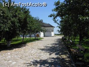 [P04] Filipeștii de Târg - Pe aleea pietruită spre Conacul Pană Filipescu.  » foto by iulianic
 - 
<span class="allrVoted glyphicon glyphicon-heart hidden" id="av982400"></span>
<a class="m-l-10 hidden" id="sv982400" onclick="voting_Foto_DelVot(,982400,23926)" role="button">șterge vot <span class="glyphicon glyphicon-remove"></span></a>
<a id="v9982400" class=" c-red"  onclick="voting_Foto_SetVot(982400)" role="button"><span class="glyphicon glyphicon-heart-empty"></span> <b>LIKE</b> = Votează poza</a> <img class="hidden"  id="f982400W9" src="/imagini/loader.gif" border="0" /><span class="AjErrMes hidden" id="e982400ErM"></span>