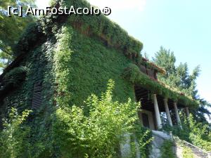 [P03] Conacul Matac - Valea Călugărească. Natura verde acoperă ruina.  » foto by iulianic
 - 
<span class="allrVoted glyphicon glyphicon-heart hidden" id="av983525"></span>
<a class="m-l-10 hidden" id="sv983525" onclick="voting_Foto_DelVot(,983525,23926)" role="button">șterge vot <span class="glyphicon glyphicon-remove"></span></a>
<a id="v9983525" class=" c-red"  onclick="voting_Foto_SetVot(983525)" role="button"><span class="glyphicon glyphicon-heart-empty"></span> <b>LIKE</b> = Votează poza</a> <img class="hidden"  id="f983525W9" src="/imagini/loader.gif" border="0" /><span class="AjErrMes hidden" id="e983525ErM"></span>