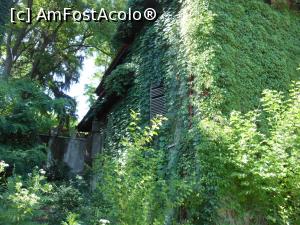 [P09] Conacul Matac - Valea Călugărească. Latura din stânga sufocată de vegetație.  » foto by iulianic
 - 
<span class="allrVoted glyphicon glyphicon-heart hidden" id="av983531"></span>
<a class="m-l-10 hidden" id="sv983531" onclick="voting_Foto_DelVot(,983531,23926)" role="button">șterge vot <span class="glyphicon glyphicon-remove"></span></a>
<a id="v9983531" class=" c-red"  onclick="voting_Foto_SetVot(983531)" role="button"><span class="glyphicon glyphicon-heart-empty"></span> <b>LIKE</b> = Votează poza</a> <img class="hidden"  id="f983531W9" src="/imagini/loader.gif" border="0" /><span class="AjErrMes hidden" id="e983531ErM"></span>
