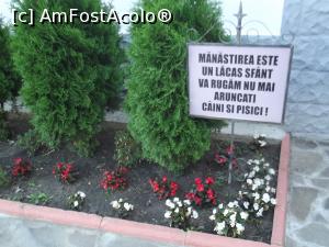 [P04] Manastirea Ghighiu-poza am facut-o la indemnul sotului deoarece a mai intalnit abandonate animalute la poarta manastirilor » foto by mishu
 - 
<span class="allrVoted glyphicon glyphicon-heart hidden" id="av799596"></span>
<a class="m-l-10 hidden" id="sv799596" onclick="voting_Foto_DelVot(,799596,23926)" role="button">șterge vot <span class="glyphicon glyphicon-remove"></span></a>
<a id="v9799596" class=" c-red"  onclick="voting_Foto_SetVot(799596)" role="button"><span class="glyphicon glyphicon-heart-empty"></span> <b>LIKE</b> = Votează poza</a> <img class="hidden"  id="f799596W9" src="/imagini/loader.gif" border="0" /><span class="AjErrMes hidden" id="e799596ErM"></span>