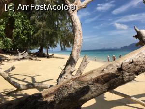 [P14] Anantara Beach Club Koh Kradan » foto by rentea
 - 
<span class="allrVoted glyphicon glyphicon-heart hidden" id="av987943"></span>
<a class="m-l-10 hidden" id="sv987943" onclick="voting_Foto_DelVot(,987943,24013)" role="button">șterge vot <span class="glyphicon glyphicon-remove"></span></a>
<a id="v9987943" class=" c-red"  onclick="voting_Foto_SetVot(987943)" role="button"><span class="glyphicon glyphicon-heart-empty"></span> <b>LIKE</b> = Votează poza</a> <img class="hidden"  id="f987943W9" src="/imagini/loader.gif" border="0" /><span class="AjErrMes hidden" id="e987943ErM"></span>