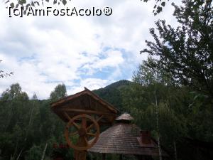 [P20] Să tot leneveşti, scrutând zările...  » foto by Safta Radu
 - 
<span class="allrVoted glyphicon glyphicon-heart hidden" id="av989659"></span>
<a class="m-l-10 hidden" id="sv989659" onclick="voting_Foto_DelVot(,989659,24030)" role="button">șterge vot <span class="glyphicon glyphicon-remove"></span></a>
<a id="v9989659" class=" c-red"  onclick="voting_Foto_SetVot(989659)" role="button"><span class="glyphicon glyphicon-heart-empty"></span> <b>LIKE</b> = Votează poza</a> <img class="hidden"  id="f989659W9" src="/imagini/loader.gif" border="0" /><span class="AjErrMes hidden" id="e989659ErM"></span>