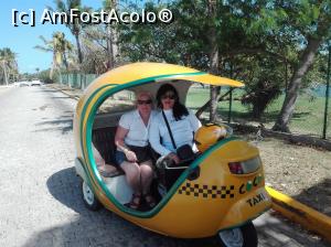 [P13] Coco Taxi » foto by patrice
 - 
<span class="allrVoted glyphicon glyphicon-heart hidden" id="av989778"></span>
<a class="m-l-10 hidden" id="sv989778" onclick="voting_Foto_DelVot(,989778,24037)" role="button">șterge vot <span class="glyphicon glyphicon-remove"></span></a>
<a id="v9989778" class=" c-red"  onclick="voting_Foto_SetVot(989778)" role="button"><span class="glyphicon glyphicon-heart-empty"></span> <b>LIKE</b> = Votează poza</a> <img class="hidden"  id="f989778W9" src="/imagini/loader.gif" border="0" /><span class="AjErrMes hidden" id="e989778ErM"></span>