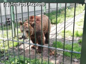 [P39] Parc Zoologic Radauti » foto by ⭐ValentinB_88⭐
 - 
<span class="allrVoted glyphicon glyphicon-heart hidden" id="av1234757"></span>
<a class="m-l-10 hidden" id="sv1234757" onclick="voting_Foto_DelVot(,1234757,24054)" role="button">șterge vot <span class="glyphicon glyphicon-remove"></span></a>
<a id="v91234757" class=" c-red"  onclick="voting_Foto_SetVot(1234757)" role="button"><span class="glyphicon glyphicon-heart-empty"></span> <b>LIKE</b> = Votează poza</a> <img class="hidden"  id="f1234757W9" src="/imagini/loader.gif" border="0" /><span class="AjErrMes hidden" id="e1234757ErM"></span>