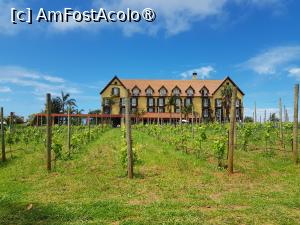 [P21] Quinta do Furão - hotelul din vie » foto by nicole33
 - 
<span class="allrVoted glyphicon glyphicon-heart hidden" id="av1414999"></span>
<a class="m-l-10 hidden" id="sv1414999" onclick="voting_Foto_DelVot(,1414999,24227)" role="button">șterge vot <span class="glyphicon glyphicon-remove"></span></a>
<a id="v91414999" class=" c-red"  onclick="voting_Foto_SetVot(1414999)" role="button"><span class="glyphicon glyphicon-heart-empty"></span> <b>LIKE</b> = Votează poza</a> <img class="hidden"  id="f1414999W9" src="/imagini/loader.gif" border="0" /><span class="AjErrMes hidden" id="e1414999ErM"></span>