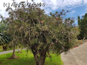 [P24] Quinta do Furão - prin grădină » foto by nicole33
 - 
<span class="allrVoted glyphicon glyphicon-heart hidden" id="av1415002"></span>
<a class="m-l-10 hidden" id="sv1415002" onclick="voting_Foto_DelVot(,1415002,24227)" role="button">șterge vot <span class="glyphicon glyphicon-remove"></span></a>
<a id="v91415002" class=" c-red"  onclick="voting_Foto_SetVot(1415002)" role="button"><span class="glyphicon glyphicon-heart-empty"></span> <b>LIKE</b> = Votează poza</a> <img class="hidden"  id="f1415002W9" src="/imagini/loader.gif" border="0" /><span class="AjErrMes hidden" id="e1415002ErM"></span>