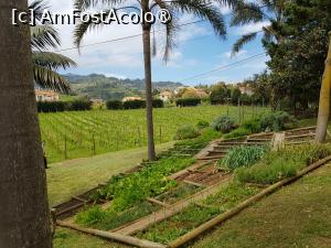 [P28] Quinta do Furão - plantaţii » foto by nicole33
 - 
<span class="allrVoted glyphicon glyphicon-heart hidden" id="av1415011"></span>
<a class="m-l-10 hidden" id="sv1415011" onclick="voting_Foto_DelVot(,1415011,24227)" role="button">șterge vot <span class="glyphicon glyphicon-remove"></span></a>
<a id="v91415011" class=" c-red"  onclick="voting_Foto_SetVot(1415011)" role="button"><span class="glyphicon glyphicon-heart-empty"></span> <b>LIKE</b> = Votează poza</a> <img class="hidden"  id="f1415011W9" src="/imagini/loader.gif" border="0" /><span class="AjErrMes hidden" id="e1415011ErM"></span>