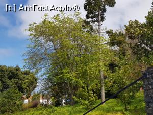 [P37] Quinta do Furão - prin grădină » foto by nicole33
 - 
<span class="allrVoted glyphicon glyphicon-heart hidden" id="av1415033"></span>
<a class="m-l-10 hidden" id="sv1415033" onclick="voting_Foto_DelVot(,1415033,24227)" role="button">șterge vot <span class="glyphicon glyphicon-remove"></span></a>
<a id="v91415033" class=" c-red"  onclick="voting_Foto_SetVot(1415033)" role="button"><span class="glyphicon glyphicon-heart-empty"></span> <b>LIKE</b> = Votează poza</a> <img class="hidden"  id="f1415033W9" src="/imagini/loader.gif" border="0" /><span class="AjErrMes hidden" id="e1415033ErM"></span>