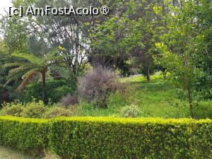 [P45] Quinta do Furão - prin grădină » foto by nicole33
 - 
<span class="allrVoted glyphicon glyphicon-heart hidden" id="av1415041"></span>
<a class="m-l-10 hidden" id="sv1415041" onclick="voting_Foto_DelVot(,1415041,24227)" role="button">șterge vot <span class="glyphicon glyphicon-remove"></span></a>
<a id="v91415041" class=" c-red"  onclick="voting_Foto_SetVot(1415041)" role="button"><span class="glyphicon glyphicon-heart-empty"></span> <b>LIKE</b> = Votează poza</a> <img class="hidden"  id="f1415041W9" src="/imagini/loader.gif" border="0" /><span class="AjErrMes hidden" id="e1415041ErM"></span>