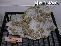 [P01] exponate muzeu mineralogie » foto by diana-s
 - 
<span class="allrVoted glyphicon glyphicon-heart hidden" id="av302674"></span>
<a class="m-l-10 hidden" id="sv302674" onclick="voting_Foto_DelVot(,302674,24281)" role="button">șterge vot <span class="glyphicon glyphicon-remove"></span></a>
<a id="v9302674" class=" c-red"  onclick="voting_Foto_SetVot(302674)" role="button"><span class="glyphicon glyphicon-heart-empty"></span> <b>LIKE</b> = Votează poza</a> <img class="hidden"  id="f302674W9" src="/imagini/loader.gif" border="0" /><span class="AjErrMes hidden" id="e302674ErM"></span>