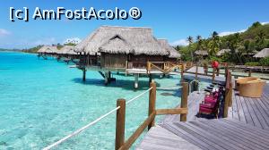 [P10] Sofitel Bora Bora Private Island » foto by C@t@
 - 
<span class="allrVoted glyphicon glyphicon-heart hidden" id="av1008372"></span>
<a class="m-l-10 hidden" id="sv1008372" onclick="voting_Foto_DelVot(,1008372,24316)" role="button">șterge vot <span class="glyphicon glyphicon-remove"></span></a>
<a id="v91008372" class=" c-red"  onclick="voting_Foto_SetVot(1008372)" role="button"><span class="glyphicon glyphicon-heart-empty"></span> <b>LIKE</b> = Votează poza</a> <img class="hidden"  id="f1008372W9" src="/imagini/loader.gif" border="0" /><span class="AjErrMes hidden" id="e1008372ErM"></span>