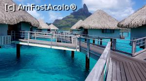 [P22] Bungalow-rile Le Meridien Bora Bora » foto by C@t@
 - 
<span class="allrVoted glyphicon glyphicon-heart hidden" id="av1008384"></span>
<a class="m-l-10 hidden" id="sv1008384" onclick="voting_Foto_DelVot(,1008384,24316)" role="button">șterge vot <span class="glyphicon glyphicon-remove"></span></a>
<a id="v91008384" class=" c-red"  onclick="voting_Foto_SetVot(1008384)" role="button"><span class="glyphicon glyphicon-heart-empty"></span> <b>LIKE</b> = Votează poza</a> <img class="hidden"  id="f1008384W9" src="/imagini/loader.gif" border="0" /><span class="AjErrMes hidden" id="e1008384ErM"></span>