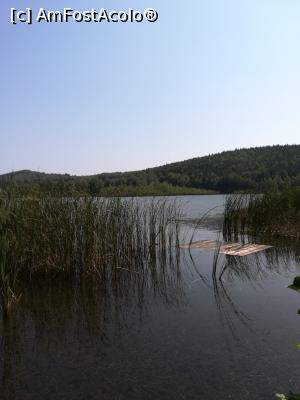[P09] Detaliu Lacul Mocearu » foto by olteanul2010
 - 
<span class="allrVoted glyphicon glyphicon-heart hidden" id="av1010587"></span>
<a class="m-l-10 hidden" id="sv1010587" onclick="voting_Foto_DelVot(,1010587,24341)" role="button">șterge vot <span class="glyphicon glyphicon-remove"></span></a>
<a id="v91010587" class=" c-red"  onclick="voting_Foto_SetVot(1010587)" role="button"><span class="glyphicon glyphicon-heart-empty"></span> <b>LIKE</b> = Votează poza</a> <img class="hidden"  id="f1010587W9" src="/imagini/loader.gif" border="0" /><span class="AjErrMes hidden" id="e1010587ErM"></span>