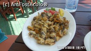 [P14] Restaurant Freskia, scoici pane » foto by ungureanica
 - 
<span class="allrVoted glyphicon glyphicon-heart hidden" id="av1019108"></span>
<a class="m-l-10 hidden" id="sv1019108" onclick="voting_Foto_DelVot(,1019108,24443)" role="button">șterge vot <span class="glyphicon glyphicon-remove"></span></a>
<a id="v91019108" class=" c-red"  onclick="voting_Foto_SetVot(1019108)" role="button"><span class="glyphicon glyphicon-heart-empty"></span> <b>LIKE</b> = Votează poza</a> <img class="hidden"  id="f1019108W9" src="/imagini/loader.gif" border="0" /><span class="AjErrMes hidden" id="e1019108ErM"></span>