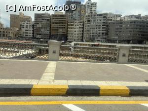 [P42] Cu avionul la Marea Mediterană – prin Alexandria » foto by nicole33
 - 
<span class="allrVoted glyphicon glyphicon-heart hidden" id="av1537794"></span>
<a class="m-l-10 hidden" id="sv1537794" onclick="voting_Foto_DelVot(,1537794,24446)" role="button">șterge vot <span class="glyphicon glyphicon-remove"></span></a>
<a id="v91537794" class=" c-red"  onclick="voting_Foto_SetVot(1537794)" role="button"><span class="glyphicon glyphicon-heart-empty"></span> <b>LIKE</b> = Votează poza</a> <img class="hidden"  id="f1537794W9" src="/imagini/loader.gif" border="0" /><span class="AjErrMes hidden" id="e1537794ErM"></span>