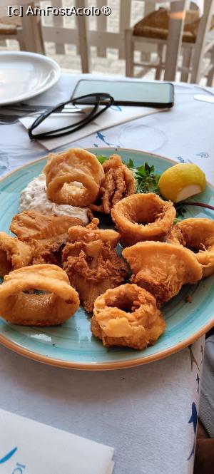 [P07] Porție de calamari. » foto by tata123 🔱
 - 
<span class="allrVoted glyphicon glyphicon-heart hidden" id="av1492485"></span>
<a class="m-l-10 hidden" id="sv1492485" onclick="voting_Foto_DelVot(,1492485,24481)" role="button">șterge vot <span class="glyphicon glyphicon-remove"></span></a>
<a id="v91492485" class=" c-red"  onclick="voting_Foto_SetVot(1492485)" role="button"><span class="glyphicon glyphicon-heart-empty"></span> <b>LIKE</b> = Votează poza</a> <img class="hidden"  id="f1492485W9" src="/imagini/loader.gif" border="0" /><span class="AjErrMes hidden" id="e1492485ErM"></span>