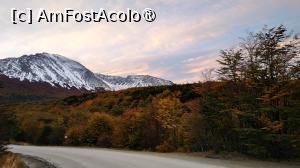 [P42]  -- <small>// FĂRĂ DESCRIERE</small> » foto by elenaadina
 - 
<span class="allrVoted glyphicon glyphicon-heart hidden" id="av1520875"></span>
<a class="m-l-10 hidden" id="sv1520875" onclick="voting_Foto_DelVot(,1520875,24560)" role="button">șterge vot <span class="glyphicon glyphicon-remove"></span></a>
<a id="v91520875" class=" c-red"  onclick="voting_Foto_SetVot(1520875)" role="button"><span class="glyphicon glyphicon-heart-empty"></span> <b>LIKE</b> = Votează poza</a> <img class="hidden"  id="f1520875W9" src="/imagini/loader.gif" border="0" /><span class="AjErrMes hidden" id="e1520875ErM"></span>