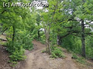 [P04] Porțiune de urcuș mai abrupt la &icirc;nceputul traseului. » foto by Floryn81
 - 
<span class="allrVoted glyphicon glyphicon-heart hidden" id="av1209986"></span>
<a class="m-l-10 hidden" id="sv1209986" onclick="voting_Foto_DelVot(,1209986,24578)" role="button">șterge vot <span class="glyphicon glyphicon-remove"></span></a>
<a id="v91209986" class=" c-red"  onclick="voting_Foto_SetVot(1209986)" role="button"><span class="glyphicon glyphicon-heart-empty"></span> <b>LIKE</b> = Votează poza</a> <img class="hidden"  id="f1209986W9" src="/imagini/loader.gif" border="0" /><span class="AjErrMes hidden" id="e1209986ErM"></span>