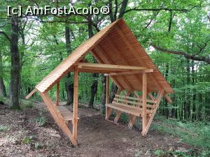 [P06] După urcușul abrupt de la &icirc;nceput am făcut un scurt popas. » foto by Floryn81
 - 
<span class="allrVoted glyphicon glyphicon-heart hidden" id="av1209988"></span>
<a class="m-l-10 hidden" id="sv1209988" onclick="voting_Foto_DelVot(,1209988,24578)" role="button">șterge vot <span class="glyphicon glyphicon-remove"></span></a>
<a id="v91209988" class=" c-red"  onclick="voting_Foto_SetVot(1209988)" role="button"><span class="glyphicon glyphicon-heart-empty"></span> <b>LIKE</b> = Votează poza</a> <img class="hidden"  id="f1209988W9" src="/imagini/loader.gif" border="0" /><span class="AjErrMes hidden" id="e1209988ErM"></span>