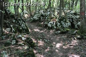 [P34] Parcul Natural Porțile de Fier, Masivul Ciucaru Mic, St&acirc;nci acoperite cu mușchi pe Traseul Dubova &ndash; Ciucaru Mic » foto by mprofeanu
 - 
<span class="allrVoted glyphicon glyphicon-heart hidden" id="av1191466"></span>
<a class="m-l-10 hidden" id="sv1191466" onclick="voting_Foto_DelVot(,1191466,24578)" role="button">șterge vot <span class="glyphicon glyphicon-remove"></span></a>
<a id="v91191466" class=" c-red"  onclick="voting_Foto_SetVot(1191466)" role="button"><span class="glyphicon glyphicon-heart-empty"></span> <b>LIKE</b> = Votează poza</a> <img class="hidden"  id="f1191466W9" src="/imagini/loader.gif" border="0" /><span class="AjErrMes hidden" id="e1191466ErM"></span>
