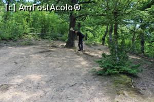 [P04] Parcul Natural Porțile de Fier, Traseul Dubova &ndash; Ciucaru Mare, Loc de odihnă... am scăpat de urcuș... » foto by mprofeanu
 - 
<span class="allrVoted glyphicon glyphicon-heart hidden" id="av1191436"></span>
<a class="m-l-10 hidden" id="sv1191436" onclick="voting_Foto_DelVot(,1191436,24578)" role="button">șterge vot <span class="glyphicon glyphicon-remove"></span></a>
<a id="v91191436" class=" c-red"  onclick="voting_Foto_SetVot(1191436)" role="button"><span class="glyphicon glyphicon-heart-empty"></span> <b>LIKE</b> = Votează poza</a> <img class="hidden"  id="f1191436W9" src="/imagini/loader.gif" border="0" /><span class="AjErrMes hidden" id="e1191436ErM"></span>