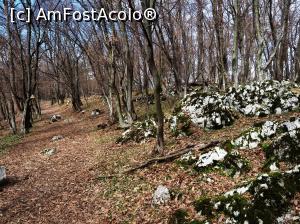 [P19] circuit Vf. Ciucărul Mare<p> traseul » foto by Dana2008
 - 
<span class="allrVoted glyphicon glyphicon-heart hidden" id="av1060253"></span>
<a class="m-l-10 hidden" id="sv1060253" onclick="voting_Foto_DelVot(,1060253,24578)" role="button">șterge vot <span class="glyphicon glyphicon-remove"></span></a>
<a id="v91060253" class=" c-red"  onclick="voting_Foto_SetVot(1060253)" role="button"><span class="glyphicon glyphicon-heart-empty"></span> <b>LIKE</b> = Votează poza</a> <img class="hidden"  id="f1060253W9" src="/imagini/loader.gif" border="0" /><span class="AjErrMes hidden" id="e1060253ErM"></span>