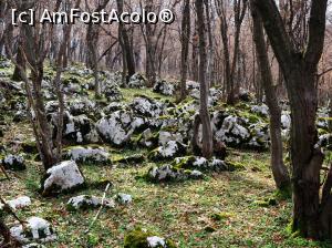 [P34] circuit Vf. Ciucărul Mare<p> traseul » foto by Dana2008
 - 
<span class="allrVoted glyphicon glyphicon-heart hidden" id="av1060268"></span>
<a class="m-l-10 hidden" id="sv1060268" onclick="voting_Foto_DelVot(,1060268,24578)" role="button">șterge vot <span class="glyphicon glyphicon-remove"></span></a>
<a id="v91060268" class=" c-red"  onclick="voting_Foto_SetVot(1060268)" role="button"><span class="glyphicon glyphicon-heart-empty"></span> <b>LIKE</b> = Votează poza</a> <img class="hidden"  id="f1060268W9" src="/imagini/loader.gif" border="0" /><span class="AjErrMes hidden" id="e1060268ErM"></span>