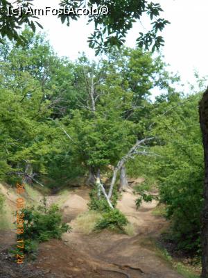 [P06] solul e nisipos şi alunecos » foto by zlatna
 - 
<span class="allrVoted glyphicon glyphicon-heart hidden" id="av1030449"></span>
<a class="m-l-10 hidden" id="sv1030449" onclick="voting_Foto_DelVot(,1030449,24578)" role="button">șterge vot <span class="glyphicon glyphicon-remove"></span></a>
<a id="v91030449" class=" c-red"  onclick="voting_Foto_SetVot(1030449)" role="button"><span class="glyphicon glyphicon-heart-empty"></span> <b>LIKE</b> = Votează poza</a> <img class="hidden"  id="f1030449W9" src="/imagini/loader.gif" border="0" /><span class="AjErrMes hidden" id="e1030449ErM"></span>