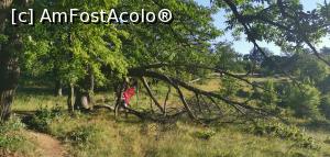 [P20] Prin Ciucărul Mare. » foto by Aurici
 - 
<span class="allrVoted glyphicon glyphicon-heart hidden" id="av1172483"></span>
<a class="m-l-10 hidden" id="sv1172483" onclick="voting_Foto_DelVot(,1172483,24578)" role="button">șterge vot <span class="glyphicon glyphicon-remove"></span></a>
<a id="v91172483" class=" c-red"  onclick="voting_Foto_SetVot(1172483)" role="button"><span class="glyphicon glyphicon-heart-empty"></span> <b>LIKE</b> = Votează poza</a> <img class="hidden"  id="f1172483W9" src="/imagini/loader.gif" border="0" /><span class="AjErrMes hidden" id="e1172483ErM"></span>