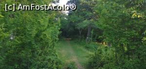 [P22] După această zonă ne-am &icirc;nt&acirc;lnit cu o căprioară. » foto by Aurici
 - 
<span class="allrVoted glyphicon glyphicon-heart hidden" id="av1172485"></span>
<a class="m-l-10 hidden" id="sv1172485" onclick="voting_Foto_DelVot(,1172485,24578)" role="button">șterge vot <span class="glyphicon glyphicon-remove"></span></a>
<a id="v91172485" class=" c-red"  onclick="voting_Foto_SetVot(1172485)" role="button"><span class="glyphicon glyphicon-heart-empty"></span> <b>LIKE</b> = Votează poza</a> <img class="hidden"  id="f1172485W9" src="/imagini/loader.gif" border="0" /><span class="AjErrMes hidden" id="e1172485ErM"></span>