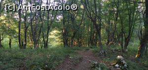 [P24] Din nou la bifurcația de unde &icirc;ncepe cobor&acirc;rea. » foto by Aurici
 - 
<span class="allrVoted glyphicon glyphicon-heart hidden" id="av1172487"></span>
<a class="m-l-10 hidden" id="sv1172487" onclick="voting_Foto_DelVot(,1172487,24578)" role="button">șterge vot <span class="glyphicon glyphicon-remove"></span></a>
<a id="v91172487" class=" c-red"  onclick="voting_Foto_SetVot(1172487)" role="button"><span class="glyphicon glyphicon-heart-empty"></span> <b>LIKE</b> = Votează poza</a> <img class="hidden"  id="f1172487W9" src="/imagini/loader.gif" border="0" /><span class="AjErrMes hidden" id="e1172487ErM"></span>