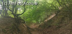 [P27] Prin pădure spre v&acirc;rful Ciucarul Mic. » foto by Aurici
 - 
<span class="allrVoted glyphicon glyphicon-heart hidden" id="av1172490"></span>
<a class="m-l-10 hidden" id="sv1172490" onclick="voting_Foto_DelVot(,1172490,24578)" role="button">șterge vot <span class="glyphicon glyphicon-remove"></span></a>
<a id="v91172490" class=" c-red"  onclick="voting_Foto_SetVot(1172490)" role="button"><span class="glyphicon glyphicon-heart-empty"></span> <b>LIKE</b> = Votează poza</a> <img class="hidden"  id="f1172490W9" src="/imagini/loader.gif" border="0" /><span class="AjErrMes hidden" id="e1172490ErM"></span>