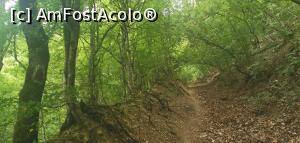 [P28] Ciucarul Mic, triunghi roșu, traseu foarte bine marcat. » foto by Aurici
 - 
<span class="allrVoted glyphicon glyphicon-heart hidden" id="av1172491"></span>
<a class="m-l-10 hidden" id="sv1172491" onclick="voting_Foto_DelVot(,1172491,24578)" role="button">șterge vot <span class="glyphicon glyphicon-remove"></span></a>
<a id="v91172491" class=" c-red"  onclick="voting_Foto_SetVot(1172491)" role="button"><span class="glyphicon glyphicon-heart-empty"></span> <b>LIKE</b> = Votează poza</a> <img class="hidden"  id="f1172491W9" src="/imagini/loader.gif" border="0" /><span class="AjErrMes hidden" id="e1172491ErM"></span>