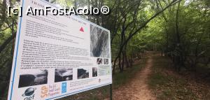 [P30] Ciucarul Mic - același panou informativ de la intrarea pe traseu. &Icirc;l găsiți acolo unde se termină urcușul. » foto by Aurici
 - 
<span class="allrVoted glyphicon glyphicon-heart hidden" id="av1172493"></span>
<a class="m-l-10 hidden" id="sv1172493" onclick="voting_Foto_DelVot(,1172493,24578)" role="button">șterge vot <span class="glyphicon glyphicon-remove"></span></a>
<a id="v91172493" class=" c-red"  onclick="voting_Foto_SetVot(1172493)" role="button"><span class="glyphicon glyphicon-heart-empty"></span> <b>LIKE</b> = Votează poza</a> <img class="hidden"  id="f1172493W9" src="/imagini/loader.gif" border="0" /><span class="AjErrMes hidden" id="e1172493ErM"></span>