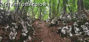 [P31] Printre lapiezuri spre v&acirc;rful Ciucarul Mic. » foto by Aurici
 - 
<span class="allrVoted glyphicon glyphicon-heart hidden" id="av1172494"></span>
<a class="m-l-10 hidden" id="sv1172494" onclick="voting_Foto_DelVot(,1172494,24578)" role="button">șterge vot <span class="glyphicon glyphicon-remove"></span></a>
<a id="v91172494" class=" c-red"  onclick="voting_Foto_SetVot(1172494)" role="button"><span class="glyphicon glyphicon-heart-empty"></span> <b>LIKE</b> = Votează poza</a> <img class="hidden"  id="f1172494W9" src="/imagini/loader.gif" border="0" /><span class="AjErrMes hidden" id="e1172494ErM"></span>