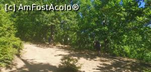 [P04] Ciucarul Mare, cam așa este panta de &icirc;nceput. » foto by Aurici
 - 
<span class="allrVoted glyphicon glyphicon-heart hidden" id="av1172467"></span>
<a class="m-l-10 hidden" id="sv1172467" onclick="voting_Foto_DelVot(,1172467,24578)" role="button">șterge vot <span class="glyphicon glyphicon-remove"></span></a>
<a id="v91172467" class=" c-red"  onclick="voting_Foto_SetVot(1172467)" role="button"><span class="glyphicon glyphicon-heart-empty"></span> <b>LIKE</b> = Votează poza</a> <img class="hidden"  id="f1172467W9" src="/imagini/loader.gif" border="0" /><span class="AjErrMes hidden" id="e1172467ErM"></span>